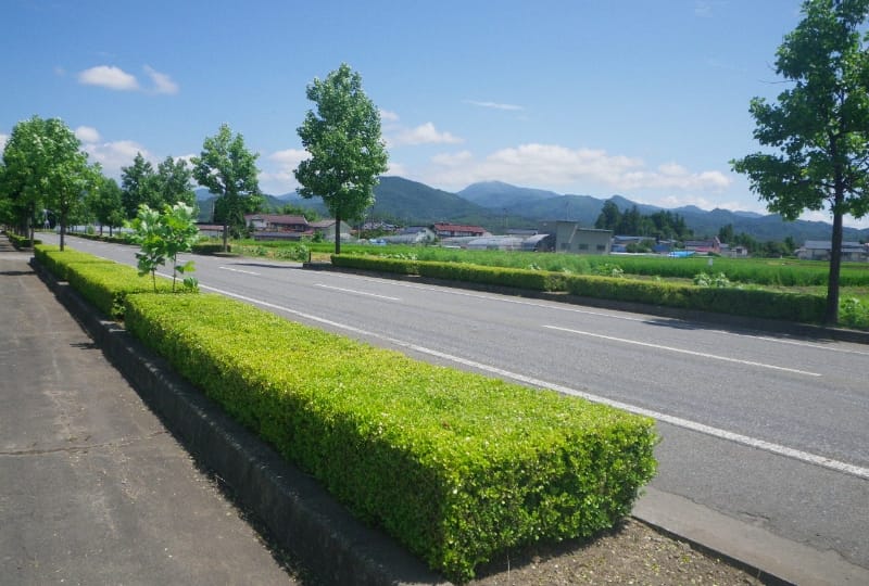 造園植栽工事